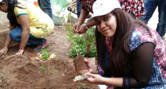 مبادرة زراعة الأشجار